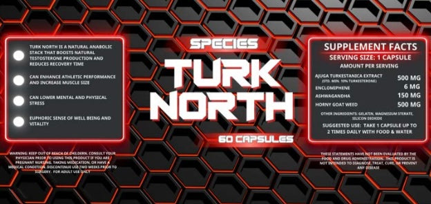 Turk North by BTP