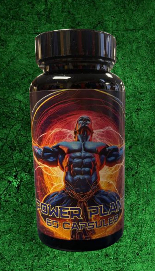 Power Plant by Exodus